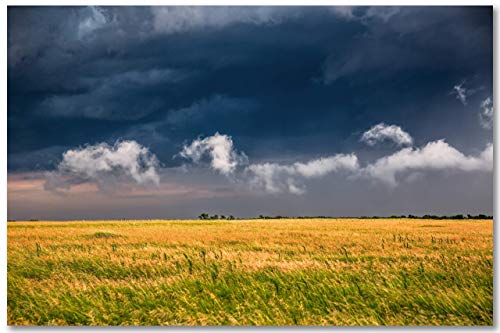 Снимка на страната Принт (без рамка) Изображението на облаците в различна форма, над Златното поле в един дъждовен ден в Оклахома