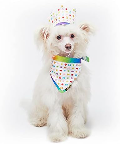 Кърпа за рождения Ден на лондонската куче или котка, обратима, забавни ярки цветове - Поздравете куче честит Рожден Ден за момче или Момиче -Модел на модел, парти в ч?