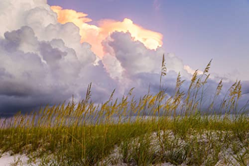 Крайбрежната снимка на Печат (без рамка) Изображение на гръмотевична буря облаци над морското овес на Ориндж Бийч, Алабама, на Брега